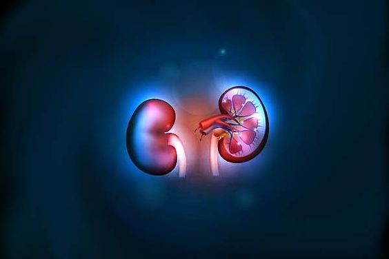 kidney cancer